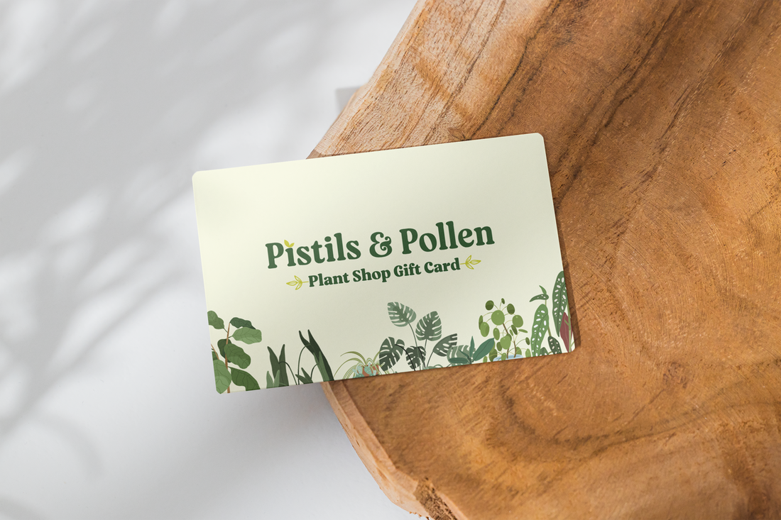Pistils & Pollen Plant Shop Digital Gift Card